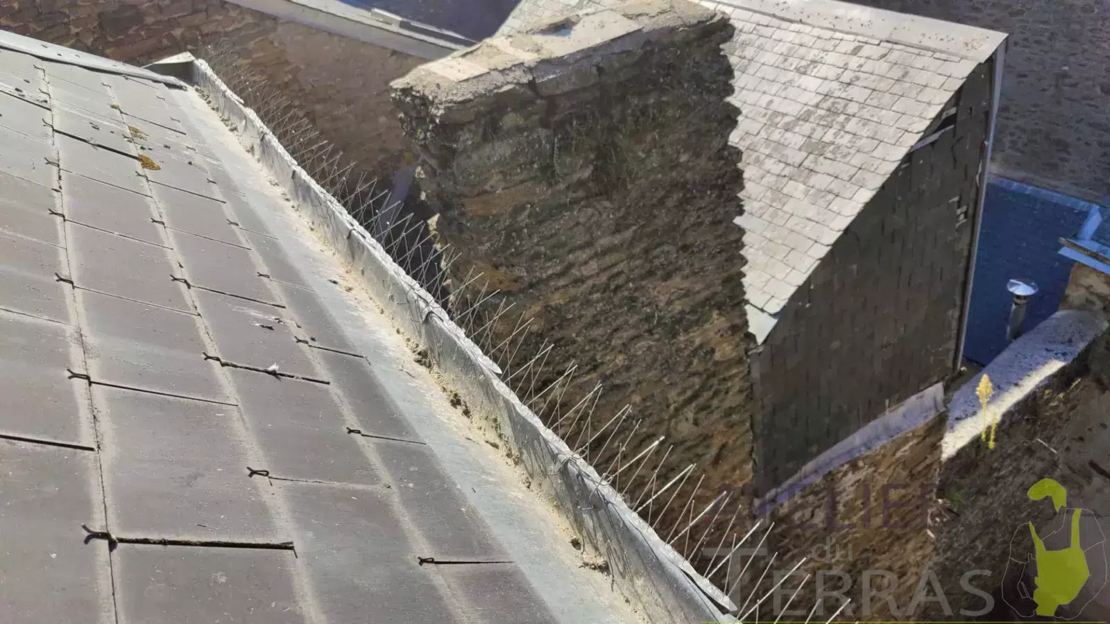Nettoyage de gouttières Mayenne